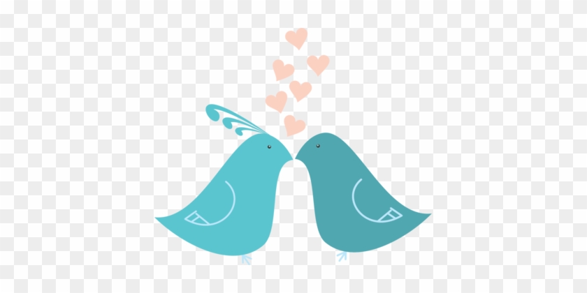 Lovebird Parrot Download - Cute Lovebirds Twin Duvet #1355110