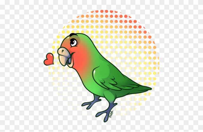 Parakeet #1355119