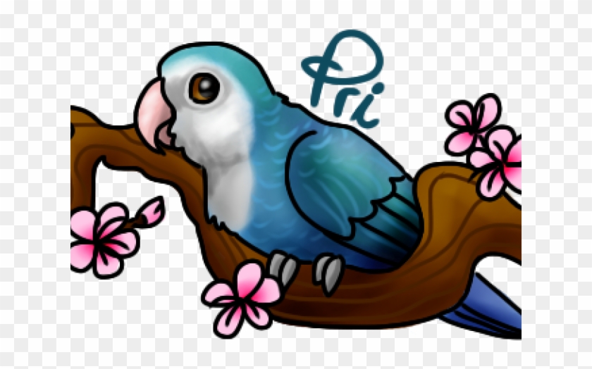 Lovebird Clipart Sweet Bird - Lovebird Clipart Sweet Bird #1355136