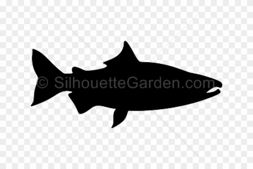Salmon Clipart Knowledge - Walleye #1355264