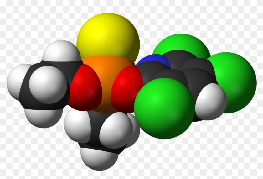 Chlorpyrifos Molecule #1355568