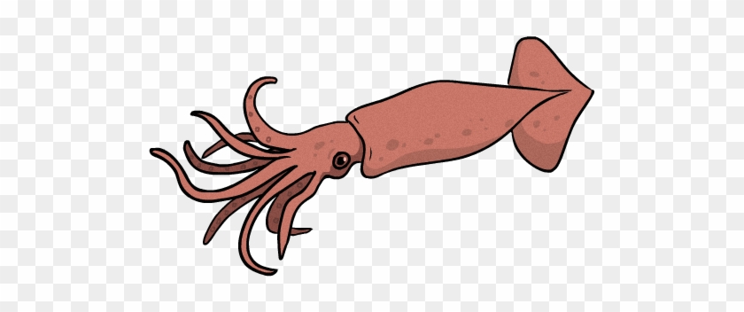 오징어 - ' - Giant Squid #1355656