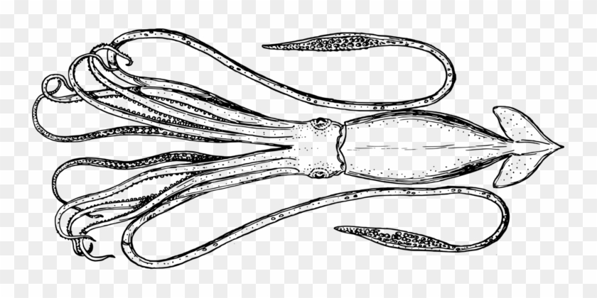 Squid Cephalopod Metasepia Pfefferi Octopus Cuttlefishes - Cephalopod #1355676
