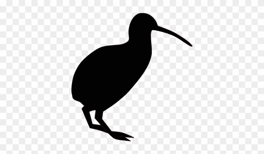 Yes New Zealand Has Pushed Forward And Legalized Investment - Kiwi Bird #1355803