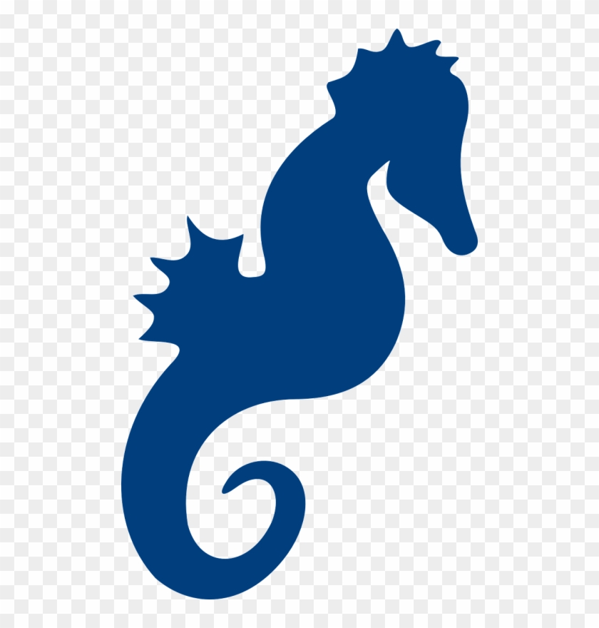 Seahorse,sea Life,ocean,marine - Imagem De Cavalo Marinho Png #1356023