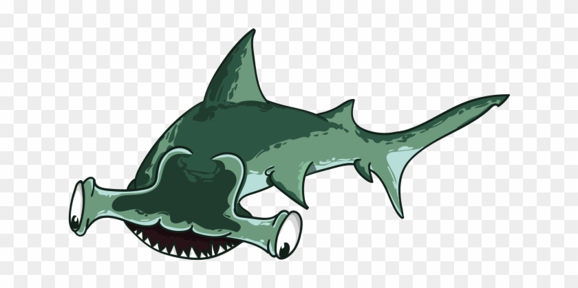 Hammer-head Shark - Shark #1356039