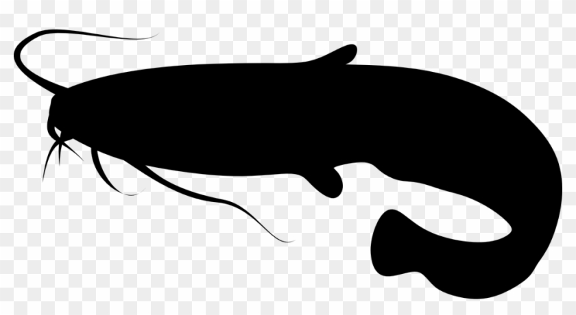 Clip Art Southeastern Club Next Tournament - Catfish Farming In Kenya #1356098