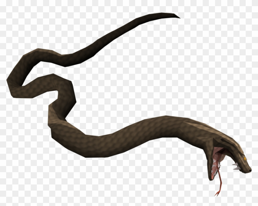 The Runescape Wiki - Runescape Snake #1356238