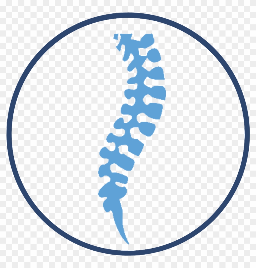 chiropractic spine clipart