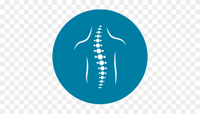 Spine Surgery - Langner Beratung Gmbh #1356357