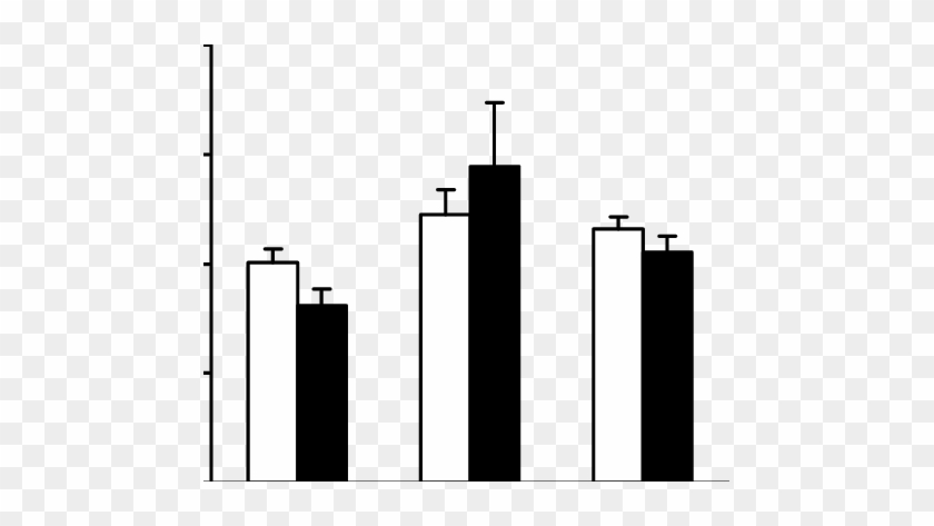 Effect Of Sci And Fes Ce (functional Electric Stimulation - Skyline #1356359