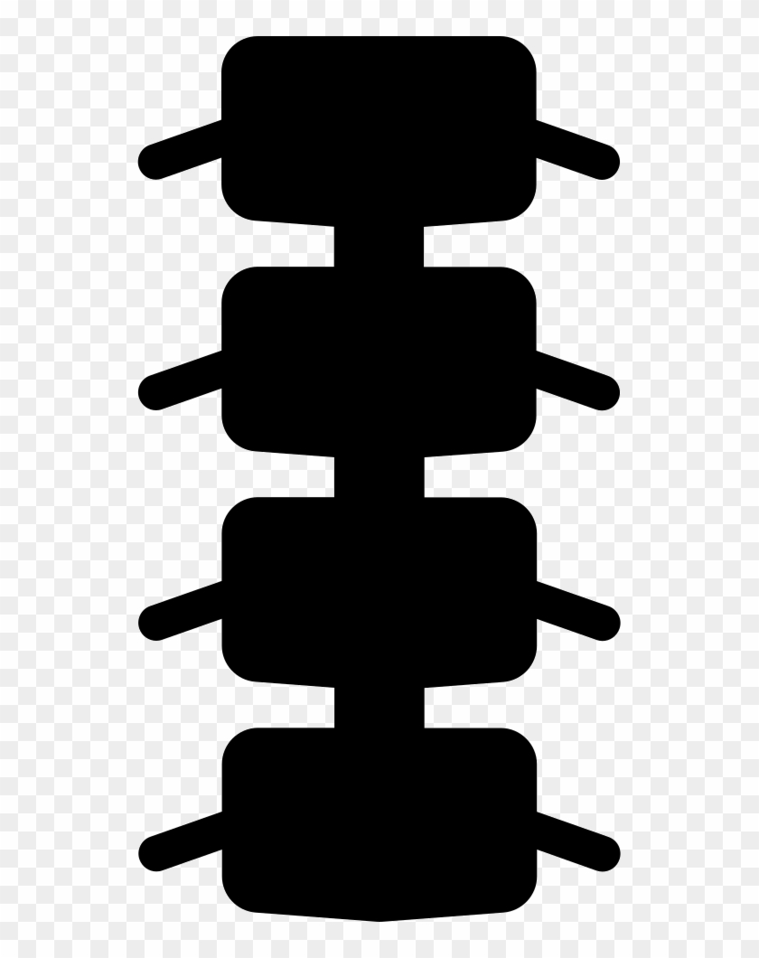 Spinal Bones Comments - Vertebral Column #1356364