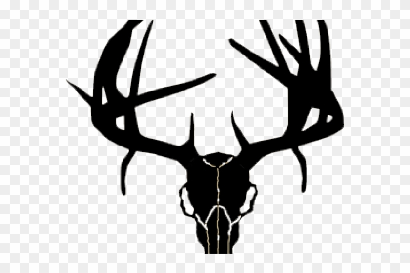 Buck Clipart Deer Skull - Logo Deer And Fish #1356657