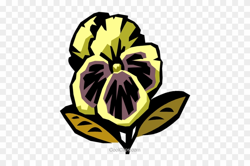 Pansy Royalty Free Vector Clip Art Illustration - Cartoon Designer #1357249