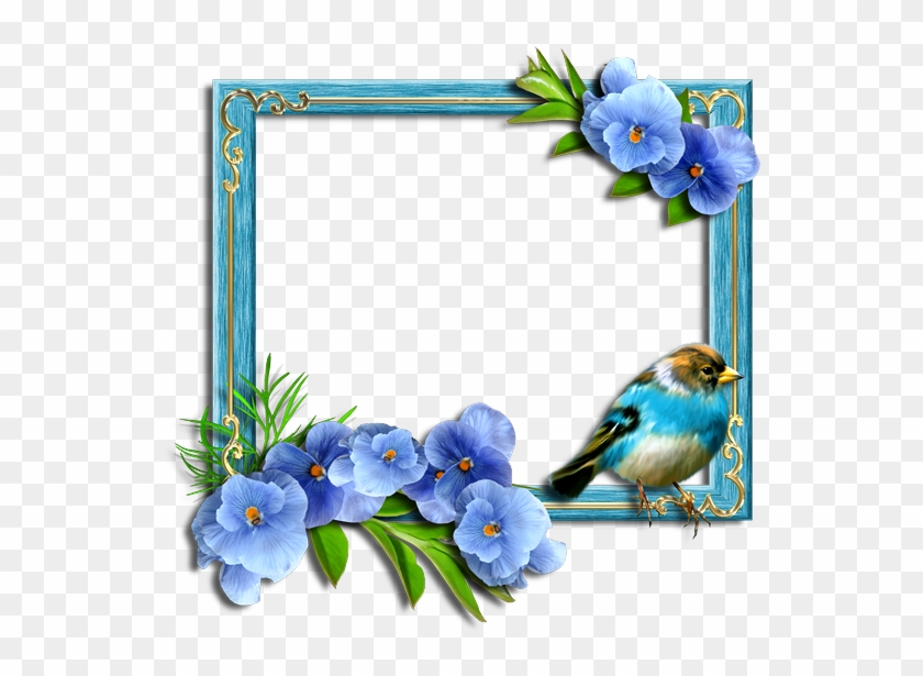 Pansies Frames - Picture Frame #1357260