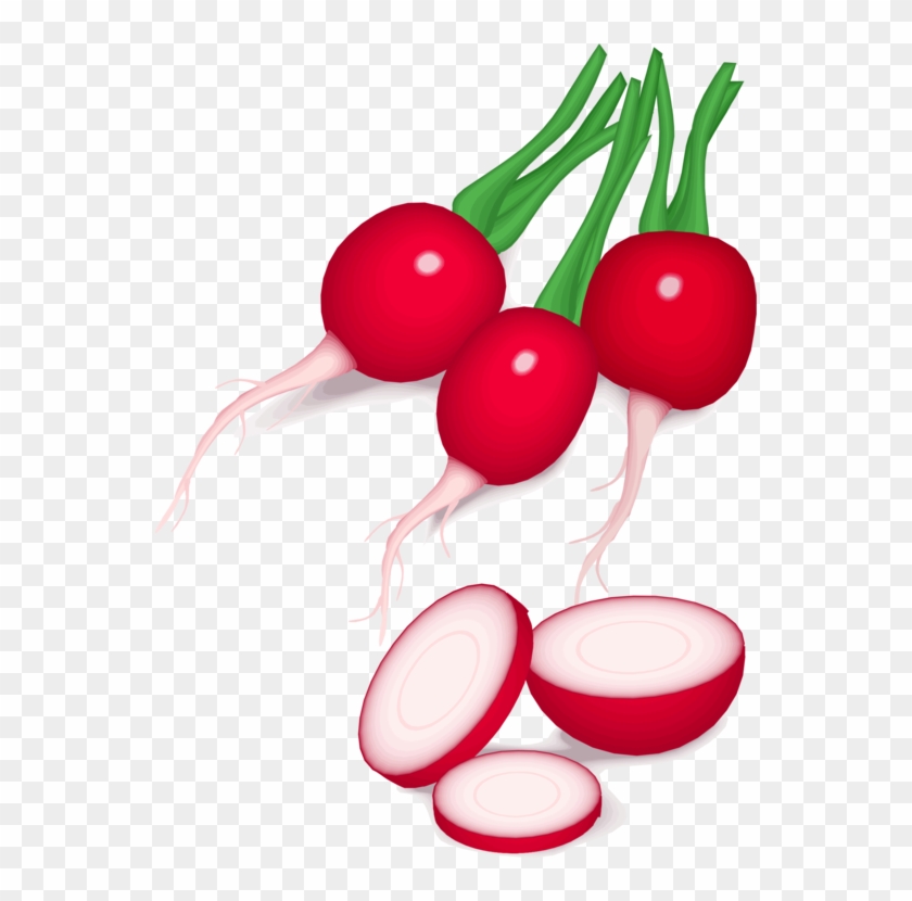 All Photo Png Clipart - Radishes Clipart #1357695