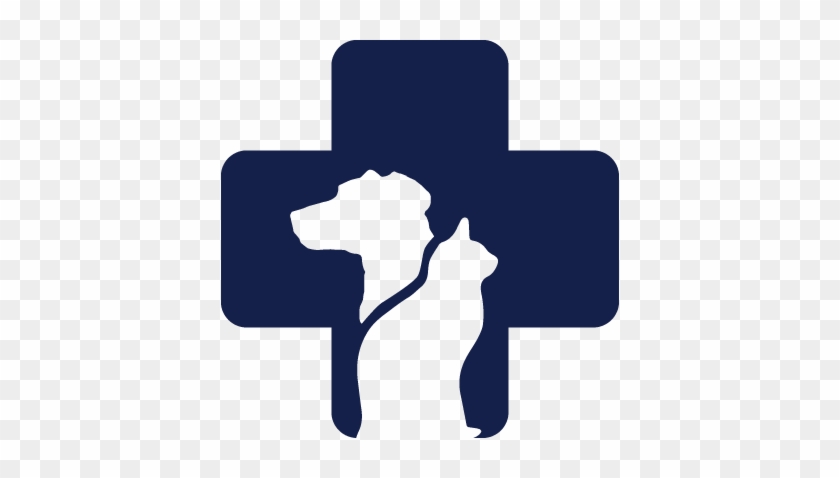 Veterinary Compounding - Veterinary Physician #1357736