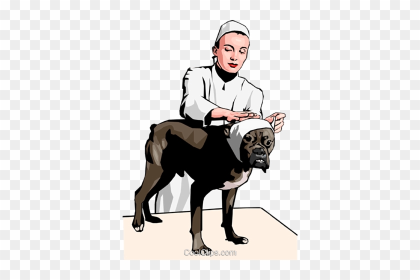 Veterinary Care Royalty Free Vector Clip Art Illustration - Illustration #1357737