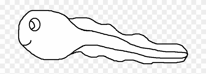 Tadpole Clip Art - Graphics #1357776