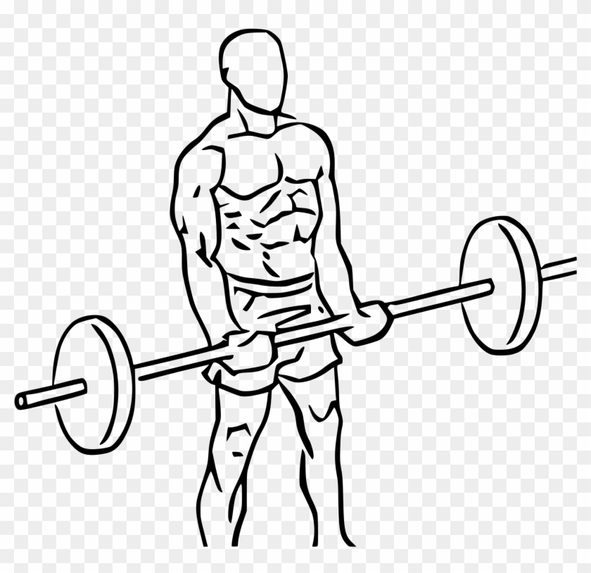 Biceps Drawing Transparent - Barbell Curls Icon #1357781