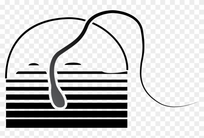 Muncie Electrology Clinic - Muncie Electrology Clinic #1357956