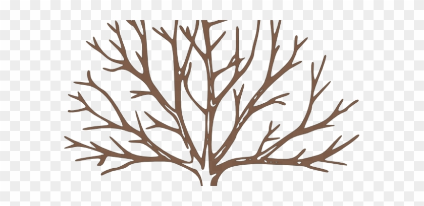 Exclusive Inspiration Bare Tree Outline Clipart Panda - Draw A Winter Tree #1358037
