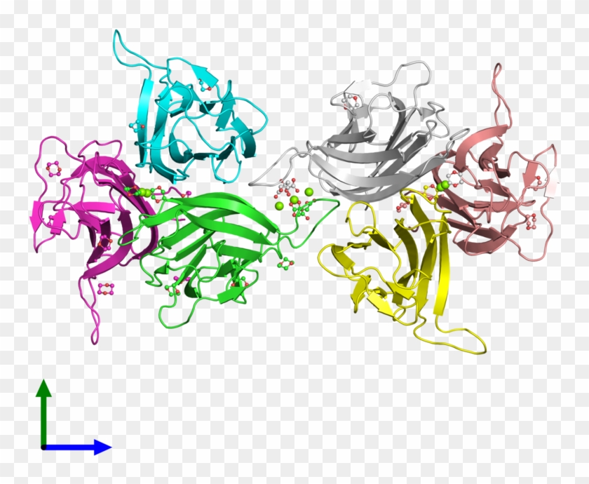 Pdb 1kxg Coloured By Chain And Viewed From The Front - Illustration #1358188