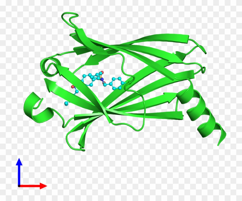 Pdb 5ml2 Coloured By Chain And Viewed From The Front - Graphic Design #1358190