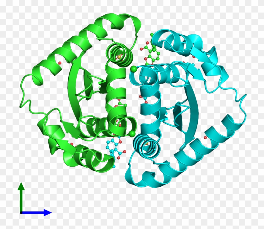Pdb 4chq Coloured By Chain And Viewed From The Front - Illustration #1358194