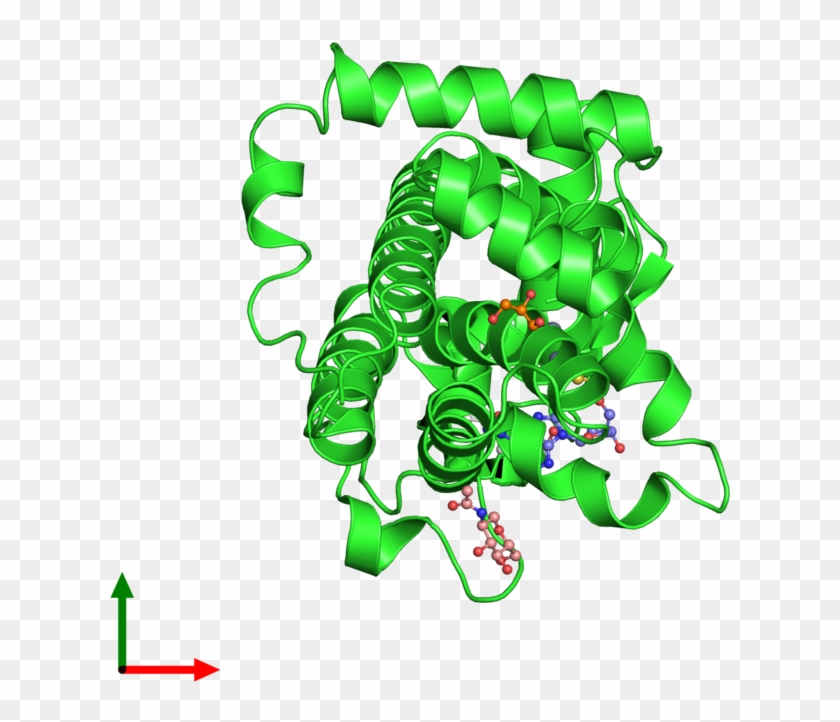 Protein Data Bank #1358205