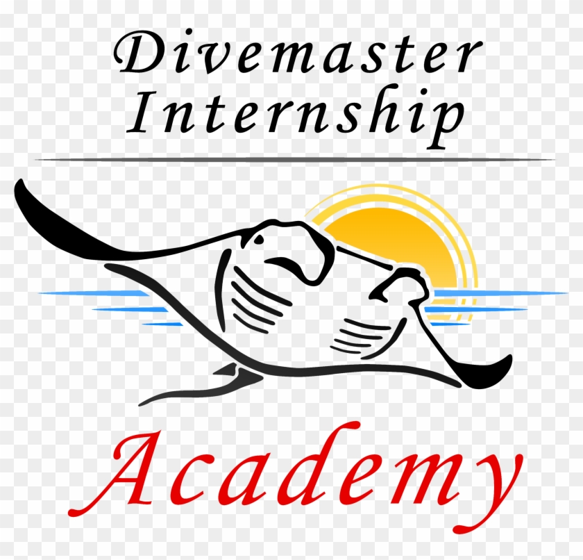 Padi Divemaster Internships - Divemaster #1358319