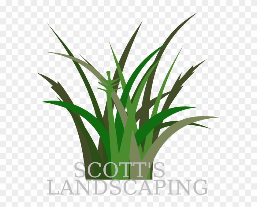 Vegetation Clip Art #1358991