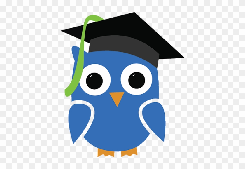 Ionhealthcare Scholar - Owl #1359096