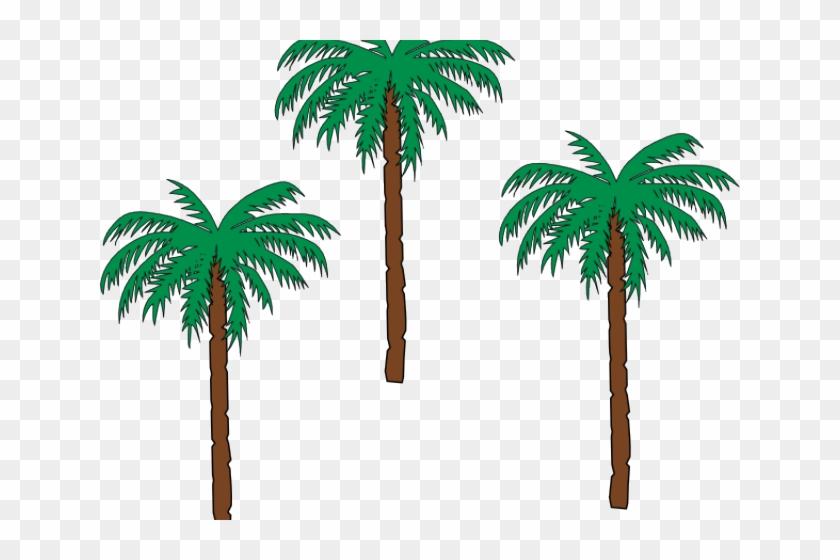 Date Palm Clipart Pom Tree - Haiti Coat Of Arms #1359484