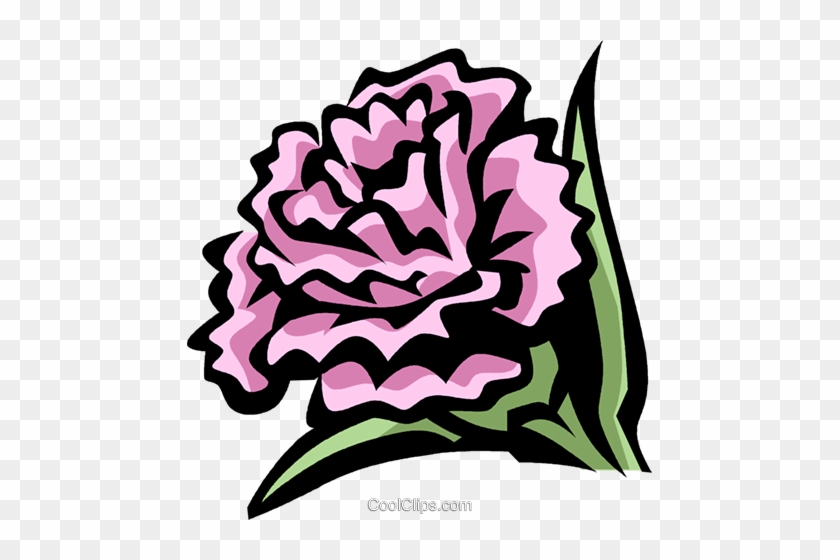 Carnation Royalty Free Vector Clip Art Illustration - Word #1359821