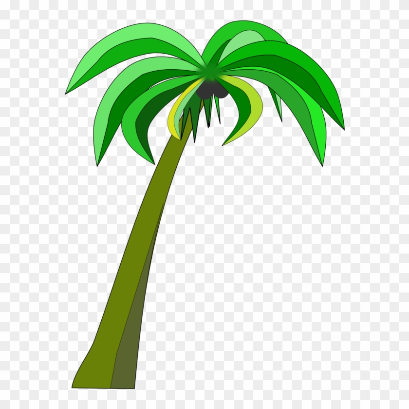 Palm Trees Coconut Can Stock Photo Drawing - Clip Art Coconut Tree #1359843