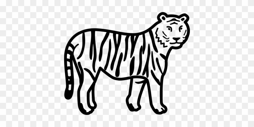 White Tiger Felidae Black Tiger Bengal Tiger Roar - Clip Art Black And White Tiger #1359919