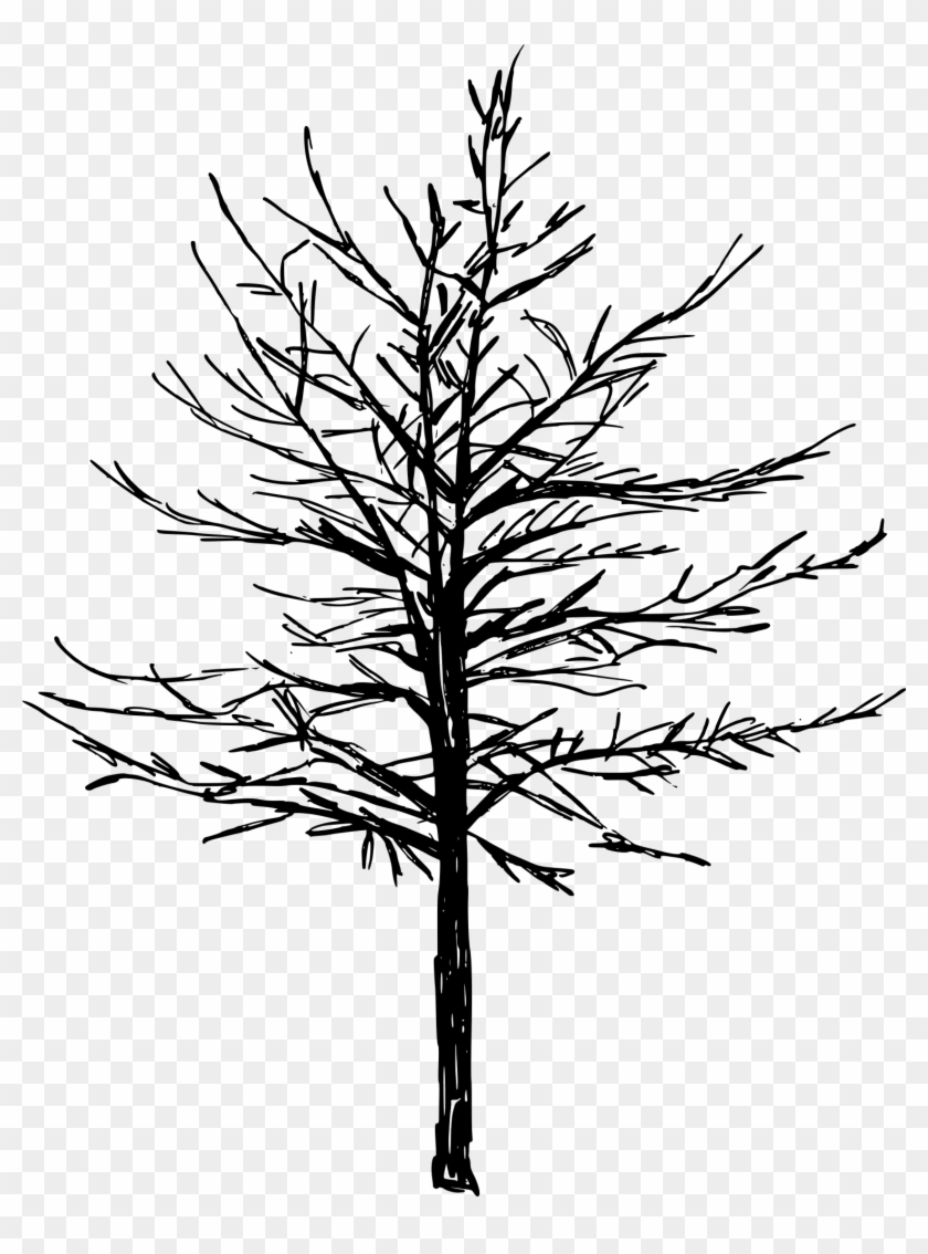 Tree Png Transparent - Clip Art #1360058