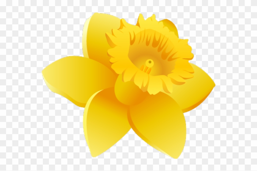 Daffodils Clipart Wales - Narcissus #1360271