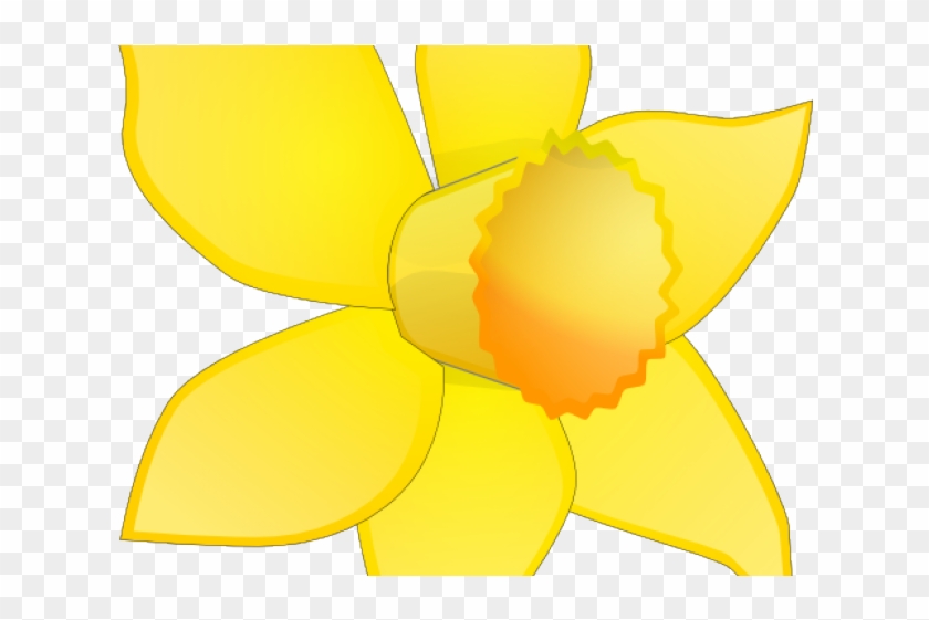Daffodil Clipart Dafodil - Cattleya #1360293