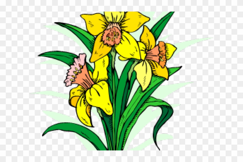 Daffodils Clipart Daffodil Day - Newent Town Fc Logo #1360301