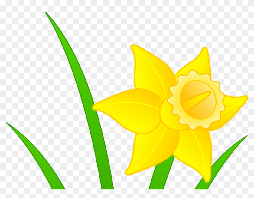 Daffodils Clipart Mothering Sunday - Clip Art Daffodil #1360302