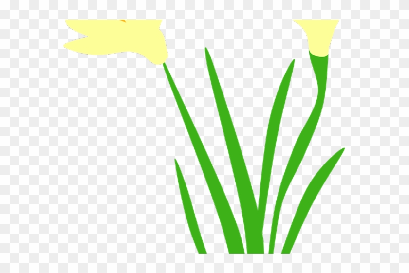 Daffodil Clipart Field Daffodil - .net #1360317