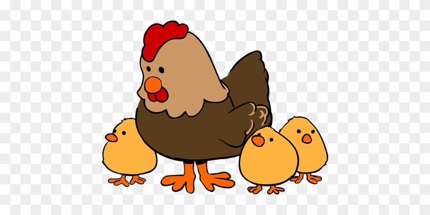 Larger Clipart Chicken Chick - Farm Animals Clipart Png #1360407