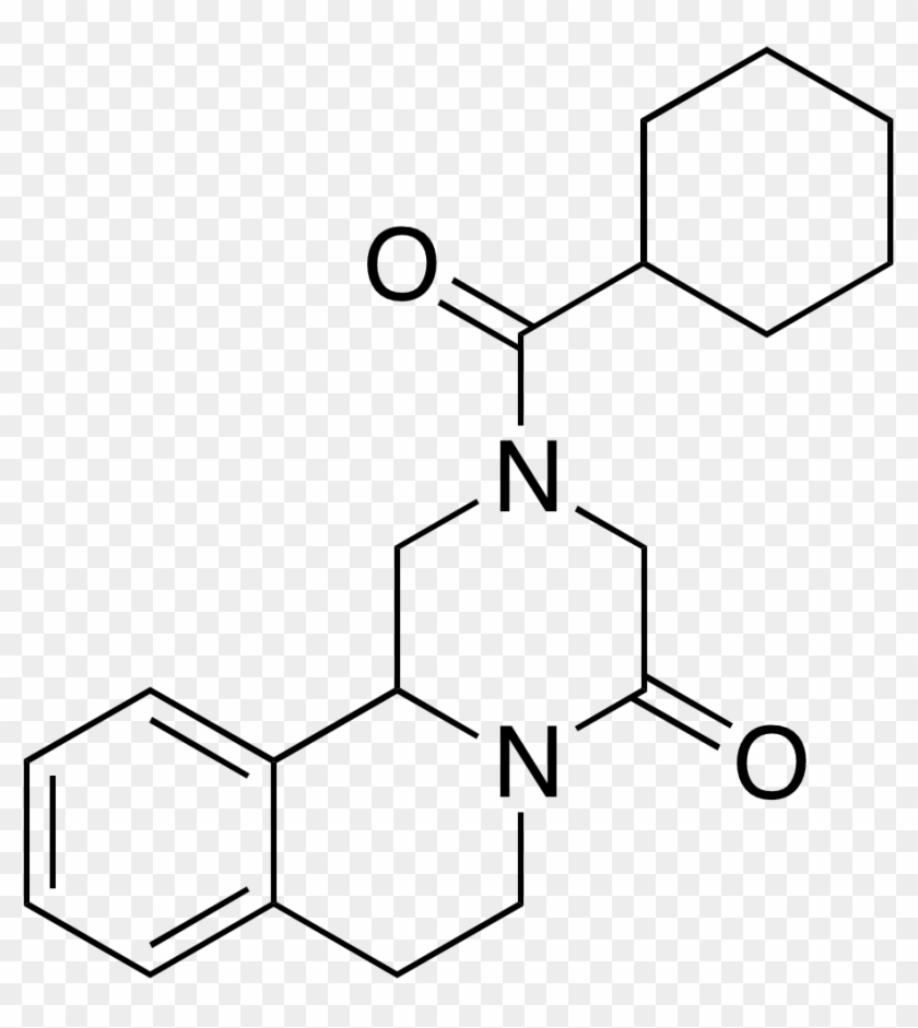 Praziquantel - 2 Methyl Phenyl Ethanol #1360426