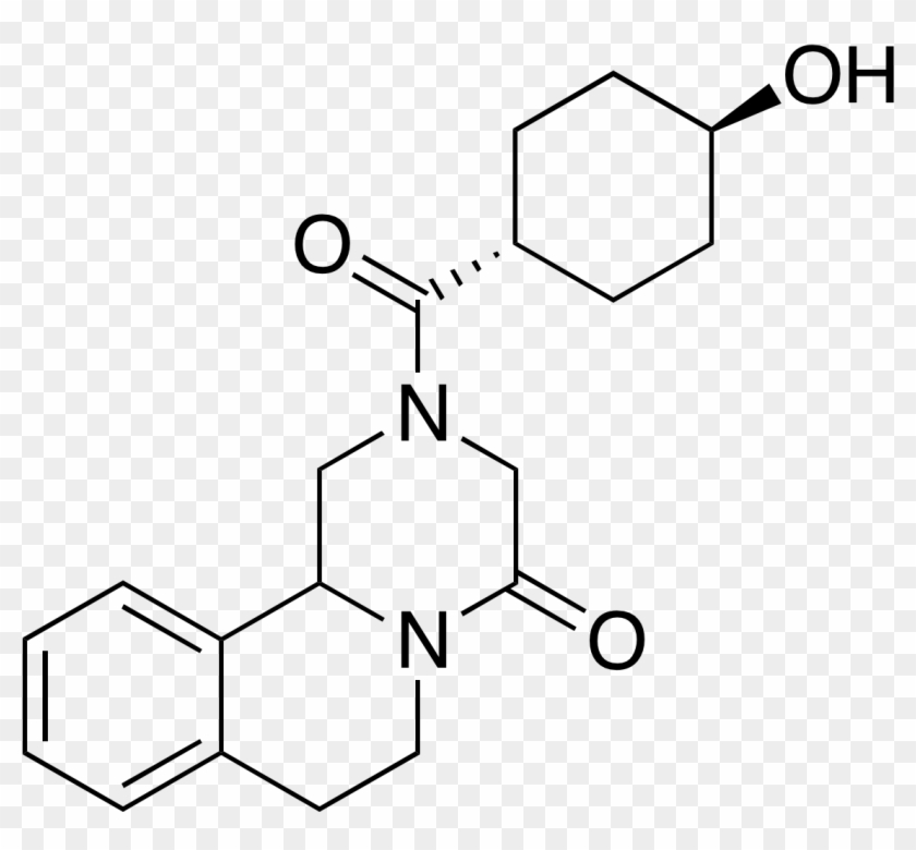 Trans-hydroxy Praziquantel - Iodohippuric Acid #1360434