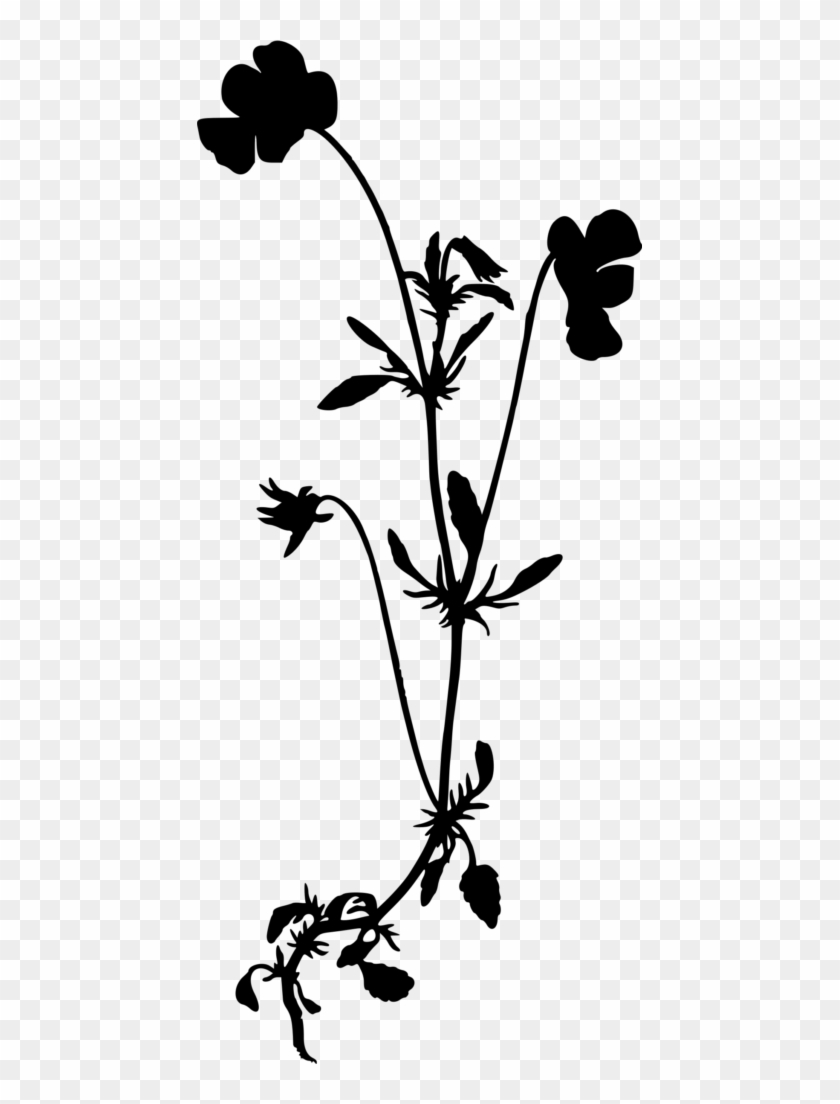 Clip Art Royalty Free Stock At Getdrawings Com Free - Black And White Wildflower Silhouette #1360471