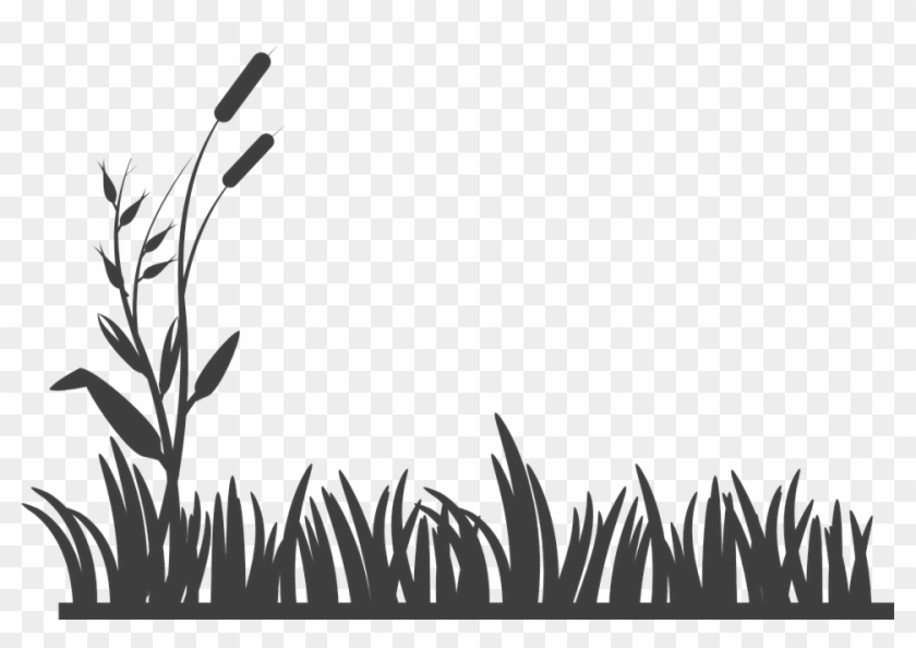 Free Image On Pixabay - Grass Black And White #1360507