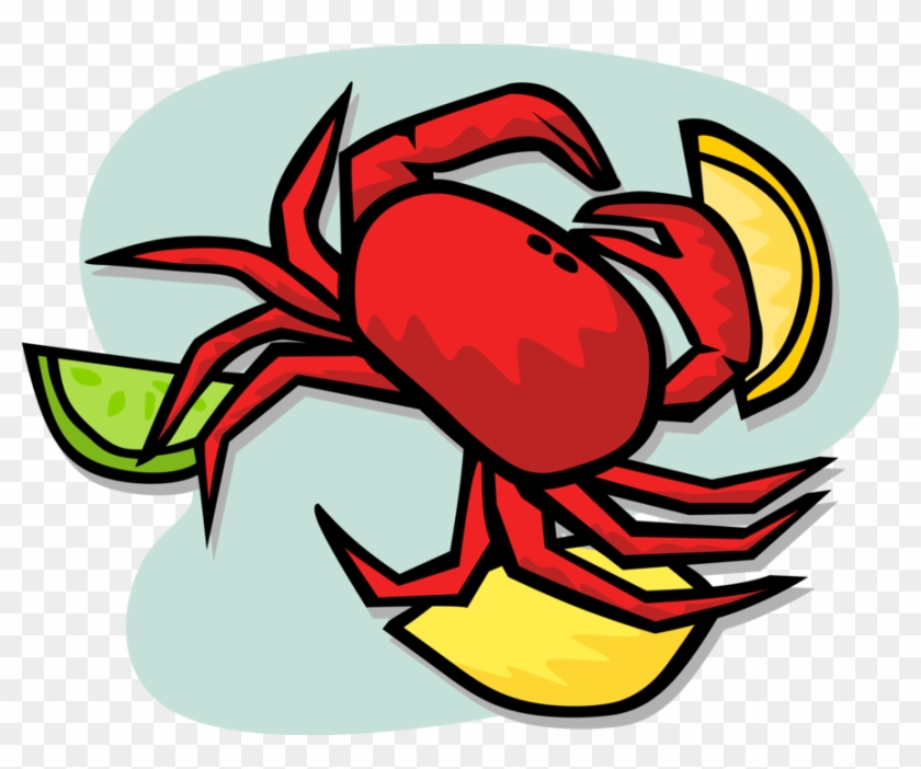 Vector Illustration Of Decapod Marine Crustacean Crab - Crab #1361076