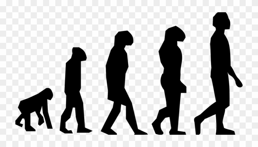 The Evolution Of Retail Survival Of The Fittest - Human Evolution Png #1361485